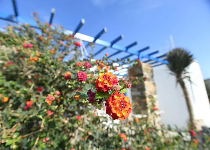 Lovely Apartment For 4 Ppl In Tinos