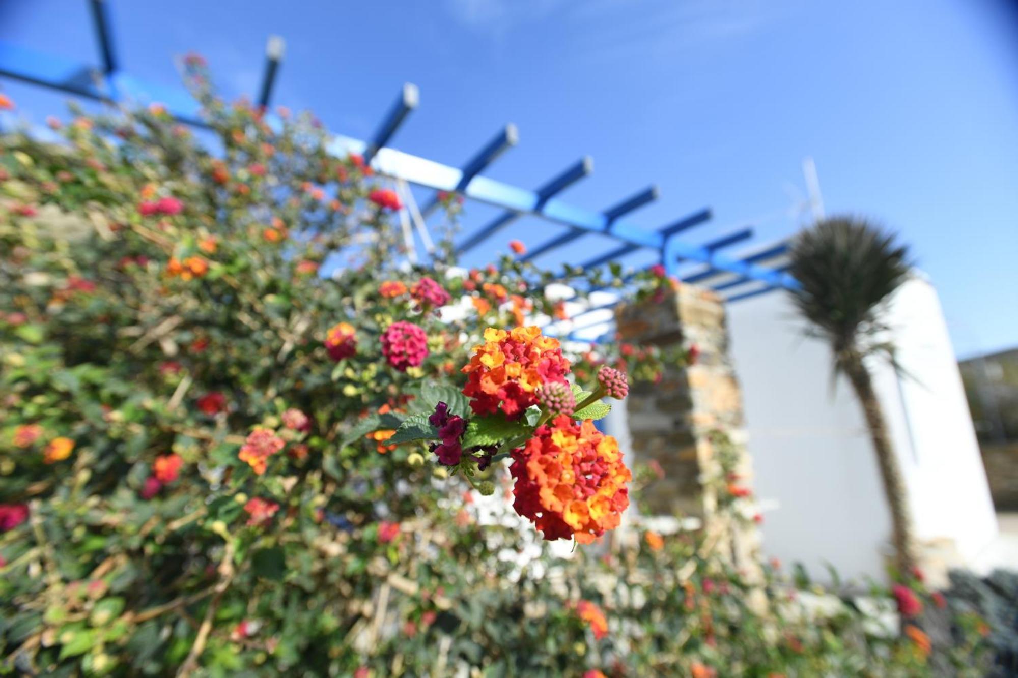 Lovely For 4 Ppl In Tinos Apartmán *